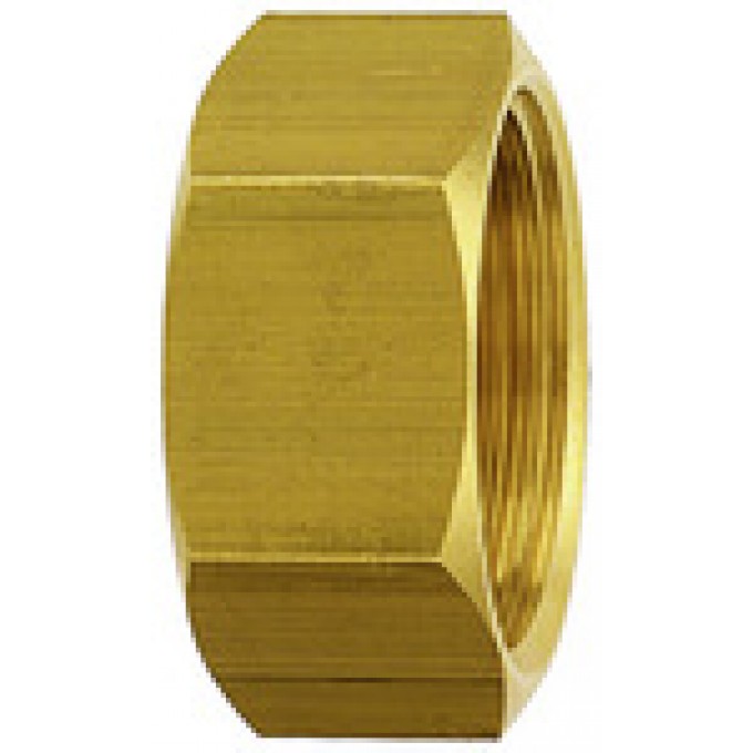 RIEGLER 111315 Колпачок (шестиугольный), G 1/4, AF 16, латунь VK 202 19763
