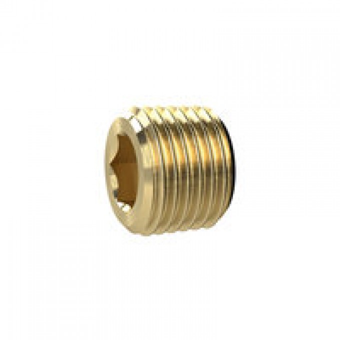 RIEGLER 111141 Стопорный винт, с шестиугольным сокетом, безфланцевый, R 1/4, латунь 253.102 19765