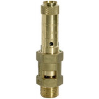 RIEGLER 104862 Предохранительный клапан, латунь, G 3/4, давление срабатывания 0.5 бар 229.02-0,5 419879