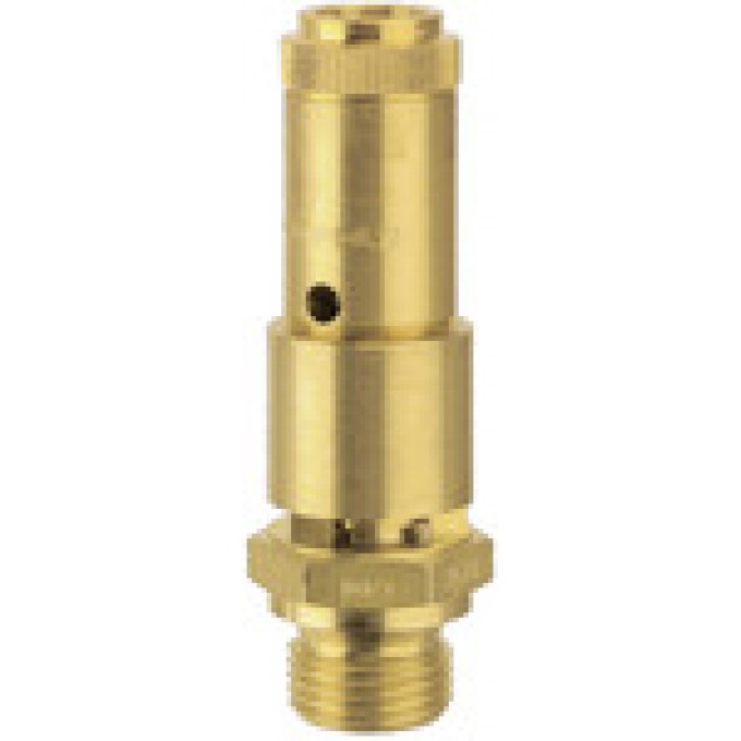 RIEGLER 104674 Полнооборотный предохранительный клапанредохранительный клапан DN 10, G 3/4, давление срабатывания 0.3 бар 227.66-0,3 419885