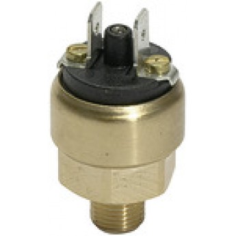 RIEGLER 103015 Переключатель давления в миниатюрном исполнении, латунь, G 1/8, диапазон настройки 1-10 бар DS 214 419952