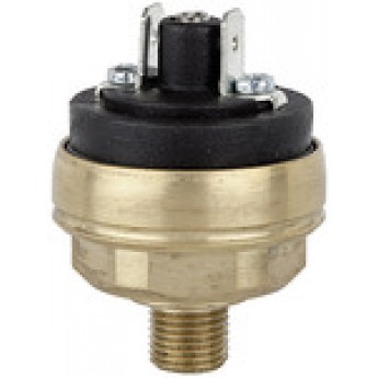 RIEGLER 103072 Переключатель давления для низкого давления, латунь, M10x1, 0.2 - 1.5 бар DS 361 419953