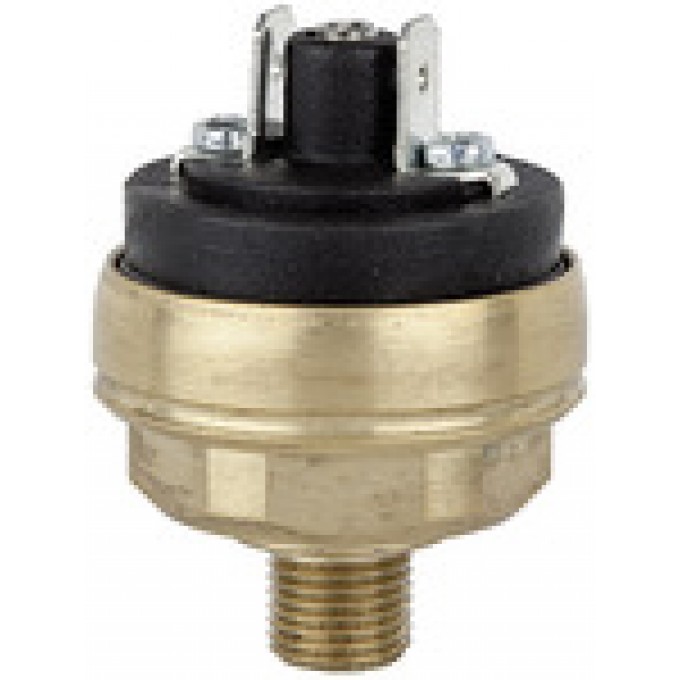 RIEGLER 103072 Переключатель давления для низкого давления, латунь, M10x1, 0.2 - 1.5 бар DS 361 419953
