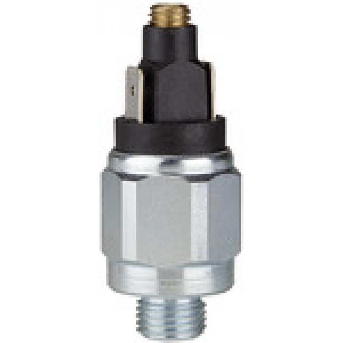RIEGLER 102994 Переключатель давления, стандартное исполнение, оцинкованная сталь, 1 - 10 бар DS 4012 419955
