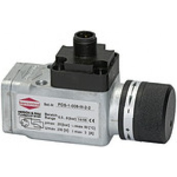 RIEGLER 103035 Переключатель давления, двусторонний контакт, особое литье, 1 - 16 бар DS 5823 419957