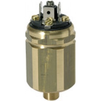 RIEGLER 103011 Вакуумный переключатель давления, латунь, G 1/8, диапазон настройки 20 - 800 мбар DS 3001 419958