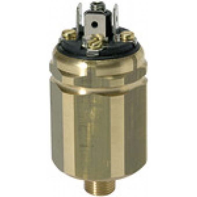RIEGLER 103011 Вакуумный переключатель давления, латунь, G 1/8, диапазон настройки 20 - 800 мбар DS 3001 419958