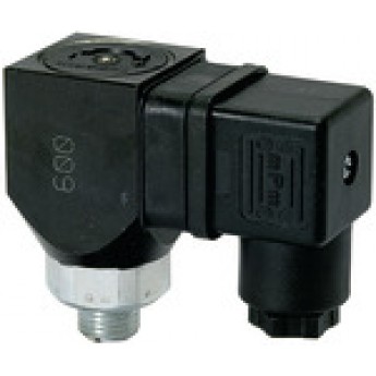 RIEGLER 103019 Переключатель давления с двусторонними контактами, G 1/8, 10-70 бар DS 6003 419961