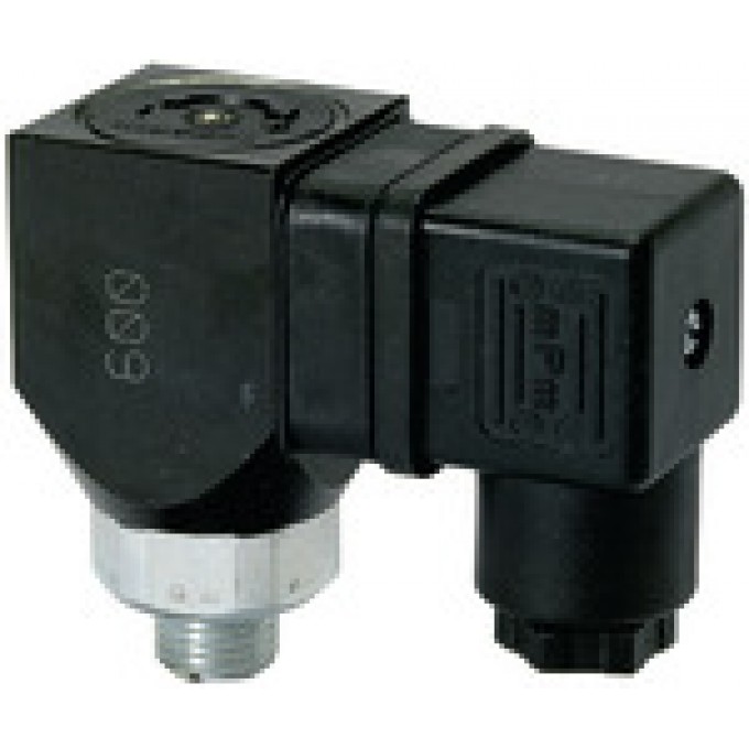 RIEGLER 103019 Переключатель давления с двусторонними контактами, G 1/8, 10-70 бар DS 6003 419961