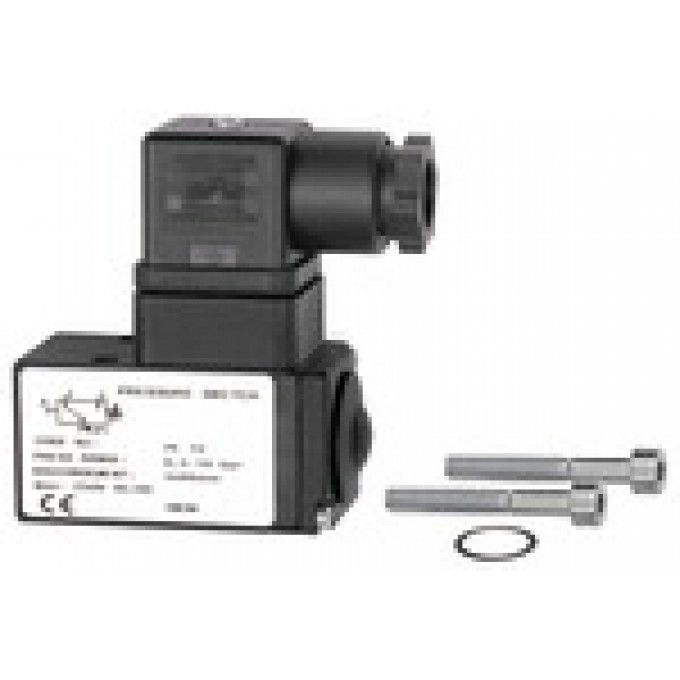 RIEGLER 100280 Переключатель давления с двусторонними контактами, возможность крепления с помощью фланца, 0.5-10 бар DS 9410 419963