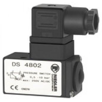 RIEGLER 103007 Переключатель давления с двусторонними контактами, возможность крепления с помощью фланца, G 1/4 DS 4803 419964