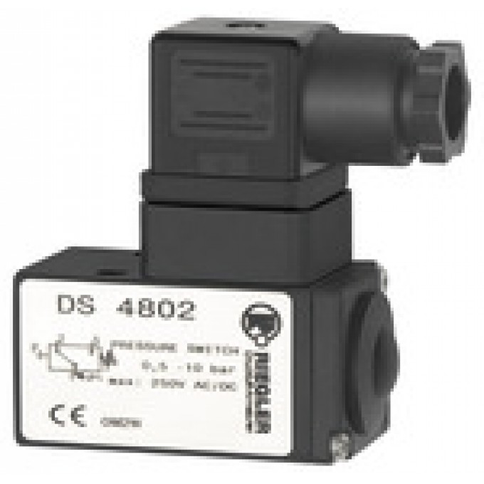 RIEGLER 103007 Переключатель давления с двусторонними контактами, возможность крепления с помощью фланца, G 1/4 DS 4803 419964