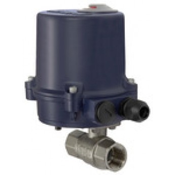 RIEGLER 103700 Латунный шаровый кран, с электрическим приводом, 24 В постоянного тока, Rp 1/2 350.2810R 419987