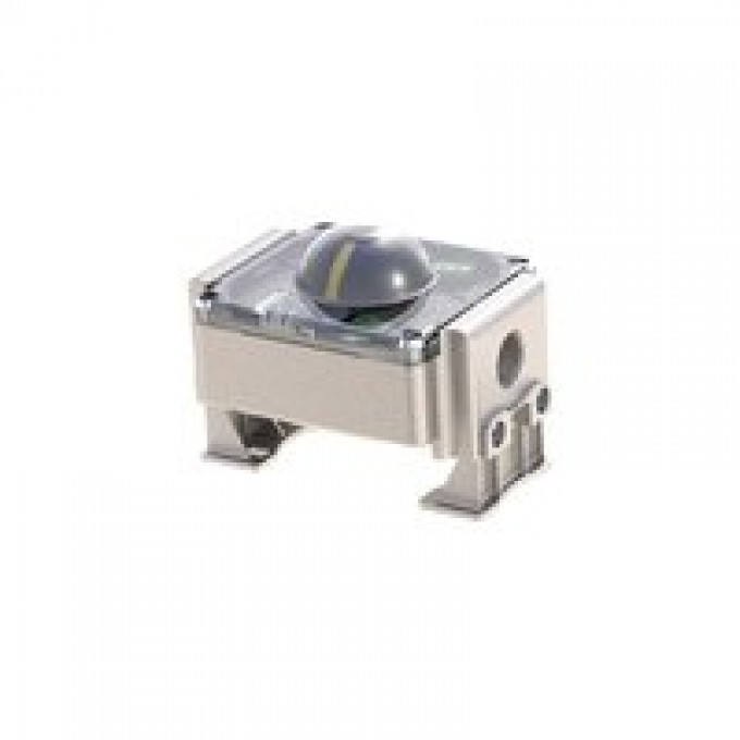 RIEGLER 153680 С обратной связью о конечном положении, SPDT микропереключатель, алюминий, 4В постоянного тока - 250 В переменного тока 350.930-1 420027