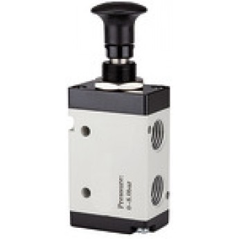 RIEGLER 115974 3/2-ходовой клапан, с кнопочным управлением, 3L G 1/4 514.3003 420088