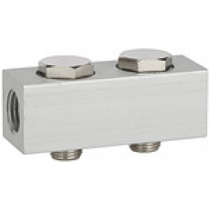 RIEGLER 106610 Питательная полоса для клапанов, 2 положения клапанов, G 1/8 518.02-18 420134