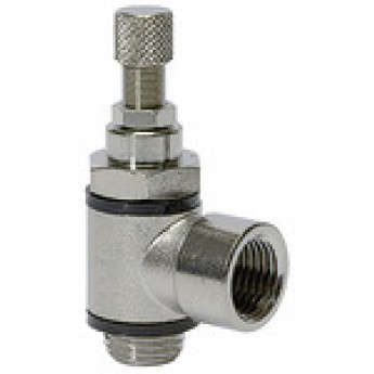 RIEGLER 106943 Обратный клапан дросселя, разгрузочный дроссель (C), M5 IT, M5 333.005-M5 420149