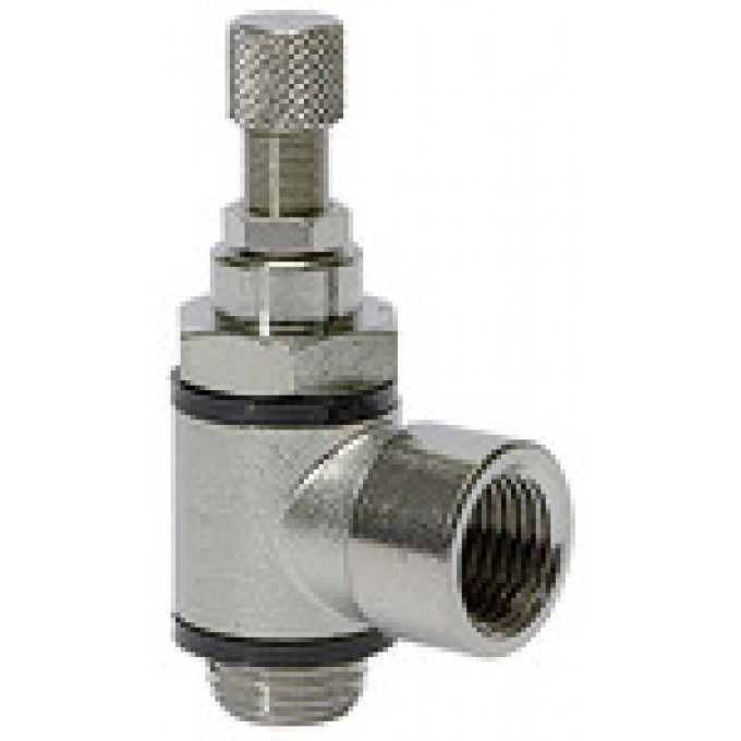 RIEGLER 106943 Обратный клапан дросселя, разгрузочный дроссель (C), M5 IT, M5 333.005-M5 420149